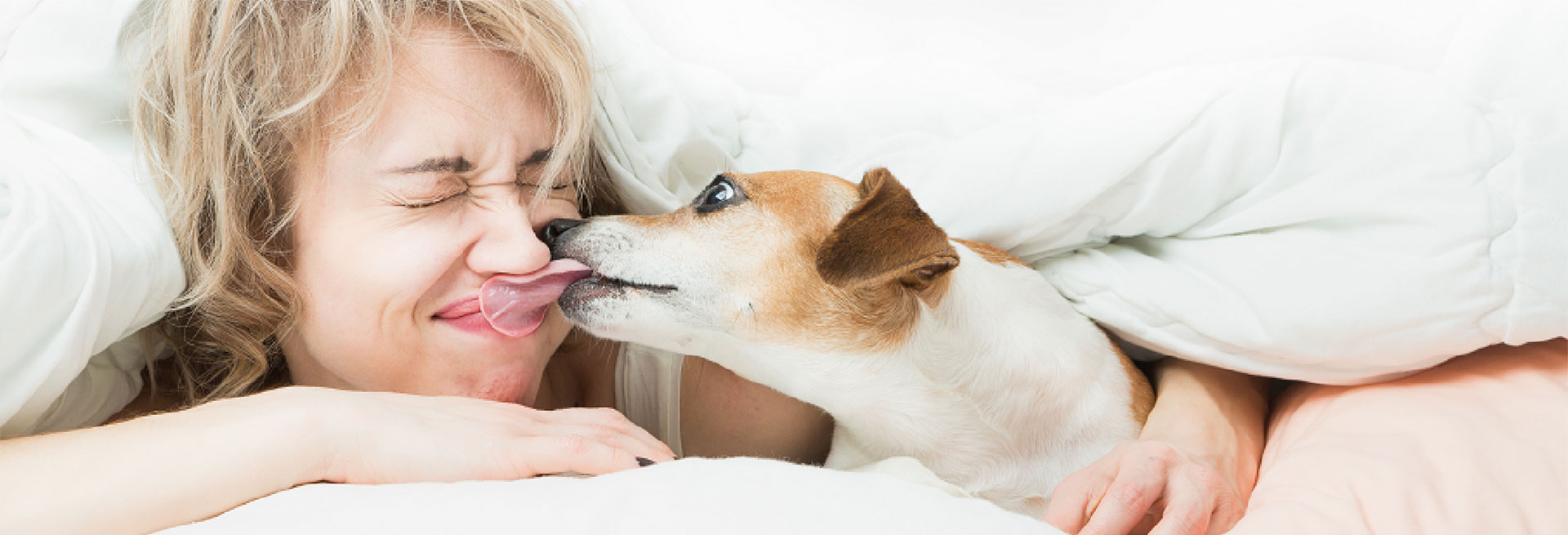 Rotolo Anatomic SiegfriedKummer